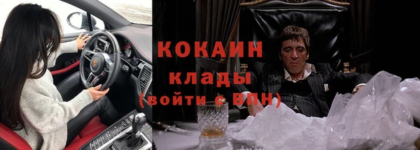 тгк Арсеньев